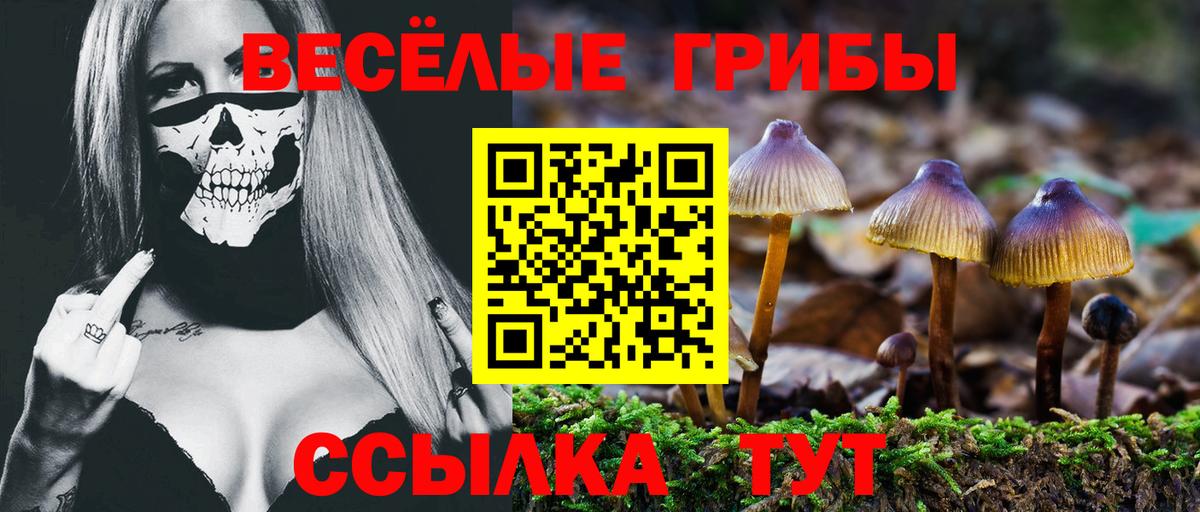 Героин  LSD-25  Меф кристаллы  ГАШИШ  Вход с VPN  Обнинск  Cocaine  Бошки Шишки 